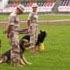 photo galeria