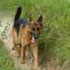 photo galeria