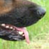 photo galeria