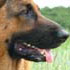 photo galeria