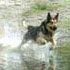 photo galeria