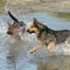photo galeria