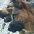 photo galeria