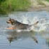 photo galeria