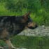 photo galeria