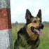 photo galeria